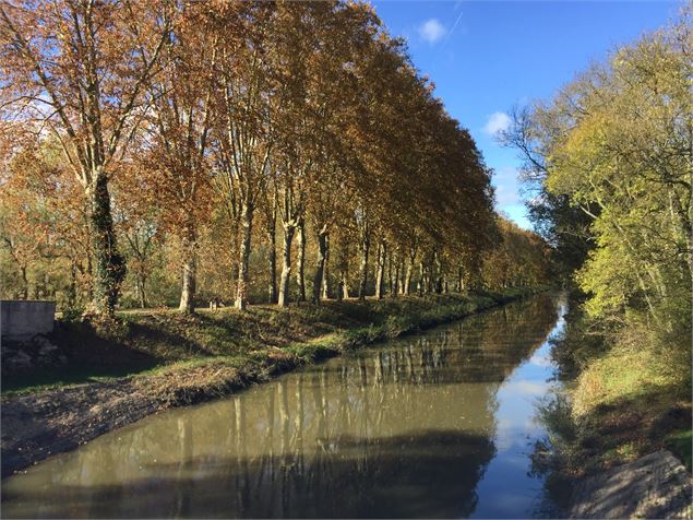 Le canal de Pont-de-Vaux - C. Beraud