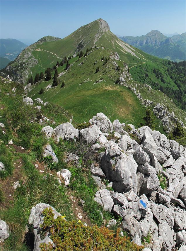 Le Mont Colombier de profil - Grand Chambéry Alpes Tourisme