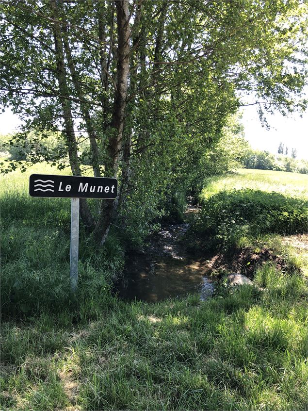 Ruisseau Le Munet - Jules Guerle