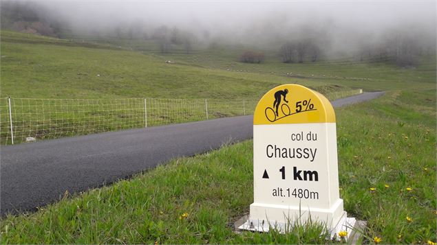 Montée cyclo du Col du Chaussy - © Savoie Mont Blanc - Anglade