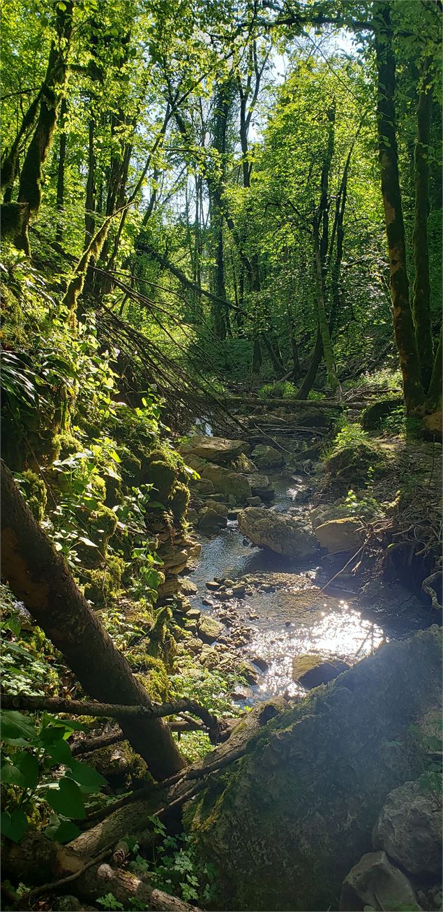 ruisseau du Buizin - Marilou Perino