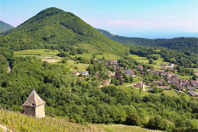 Montagnieu vigne et montagne - Marilou Perino