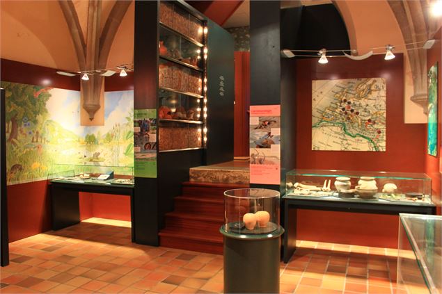 museegalloromainaixlesbainsrivieradesalpeschanaz - musée de Chanaz