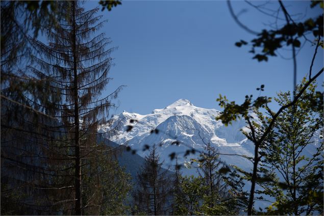 vue sur le Mont-Blanc depuis la Pierre à Voix - Wendy Vincent