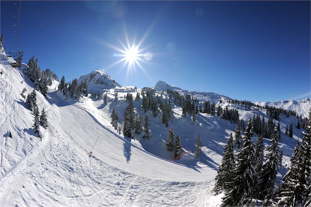 Ski entre les sapins - JF Vuarand - Châtel Tourisme