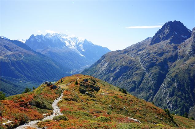 Vue - OT Vallée de Chamonix Mont Blanc