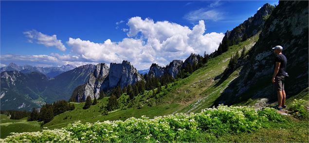 Chalets de Pertuis - Office de Tourisme des Alpes du Léman