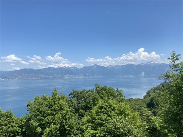 Vue sur le lac Léman et la Suisse - OTPEVA