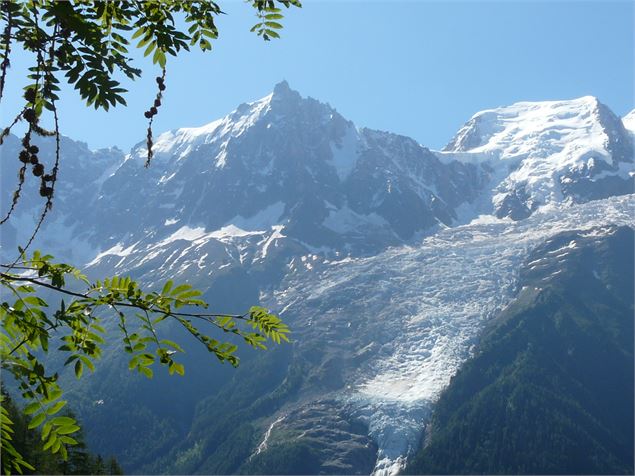 Massif du Mont Blanc depuis Bellachat - Conseil départemental 74