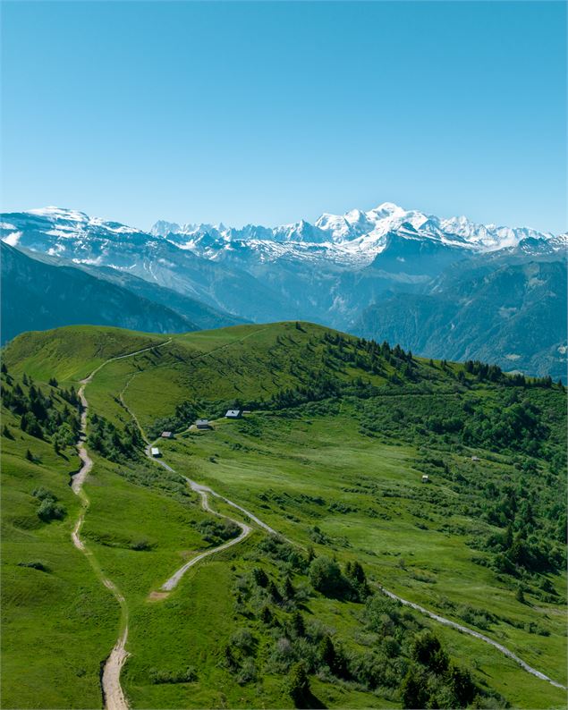 Joux Plane avec la vue sur le Mont Blanc - OT Samoens - mathilda Manzi