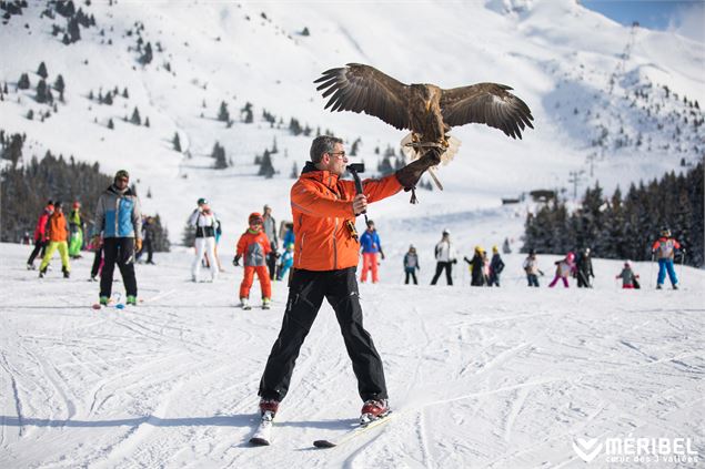 Animateur à ski avec un aigle se posant sur son bras au milieu des pistes. - Méribel Tourisme - Sylv