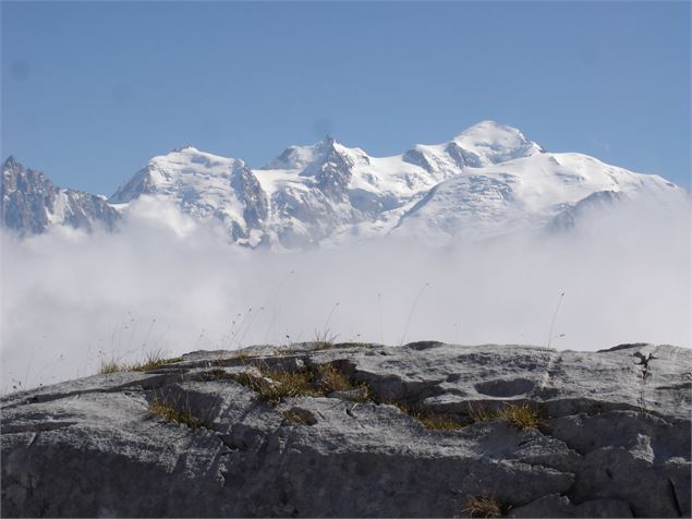 vue Mont Blanc - ML Frescurat