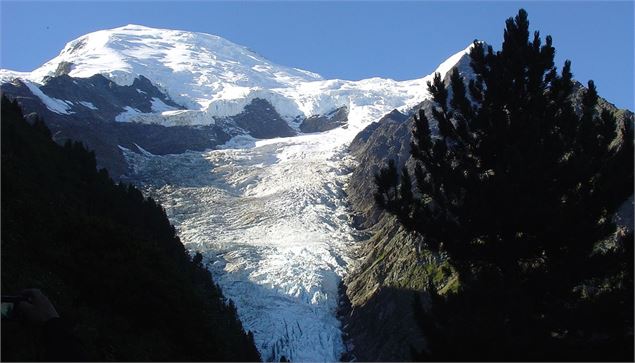 Glacier des Bossons - CD