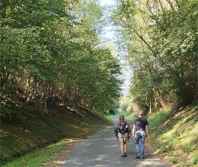 Circuit randonnée Au bois rond à Gorrevod