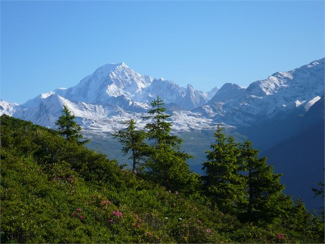 Réserve naturelle Nationale