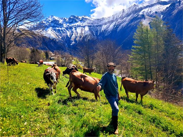 Découverte d'un alpage de Beaufort et fromage à raclette - GAEC des Ardoisiers