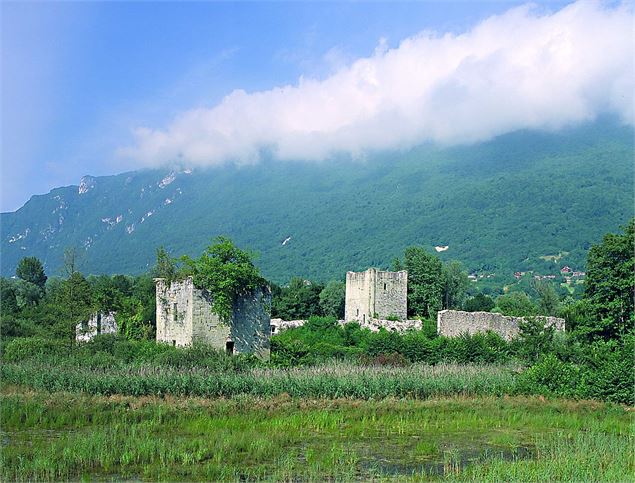 Château Thomas II Bourget du Lac - Pascal Lemaître Fondation Facim