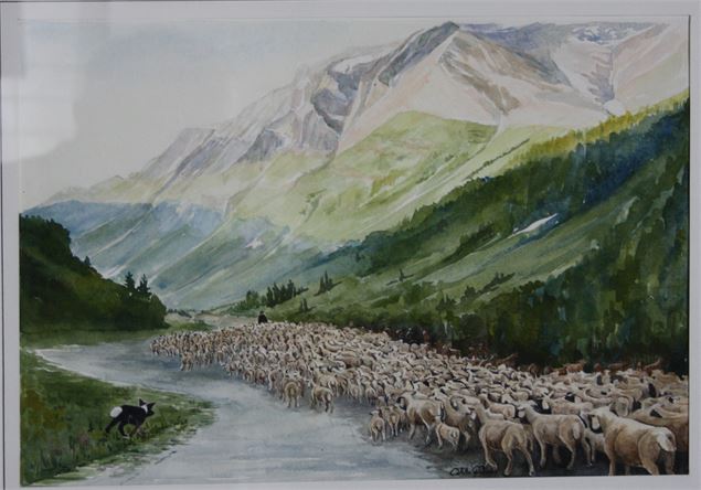 Transhumance de moutons - Colette Delcroix