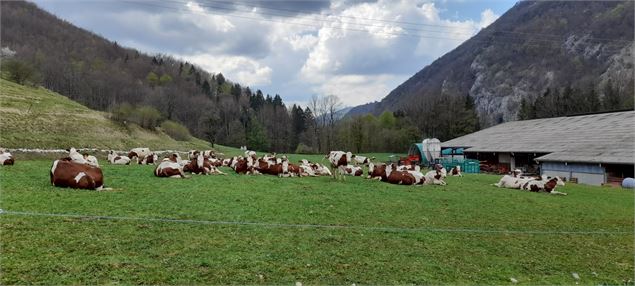 Ferme du Ban du Char - Élisabeth Barras