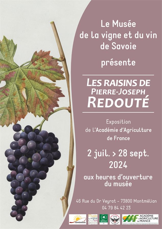 Exposition Les raisins de Pierre-Joseph Redouté - Musée de la vigne et du vin de Savoie