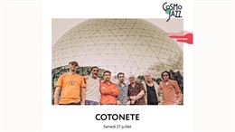 Cotonete - Cotonete