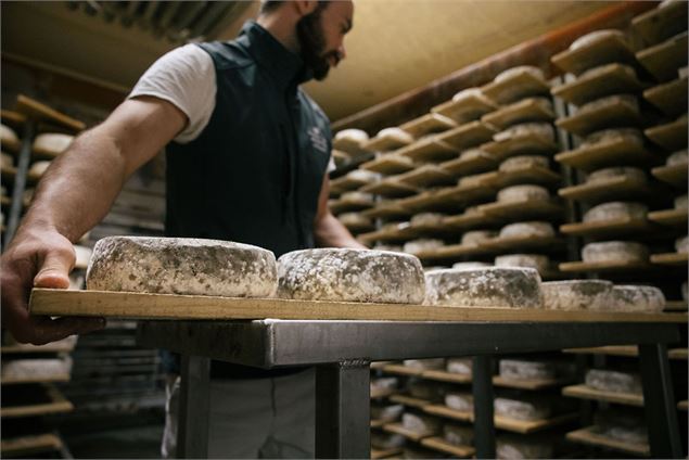 Visite privilège des caves de la coopérative laitière - Coopérative laitière Ici en Chartreuse