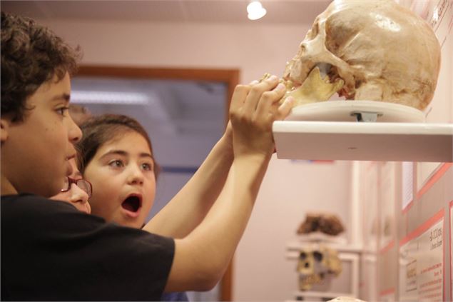 Photo prise lors d'une visite - @Musée de préhistoire et géologie