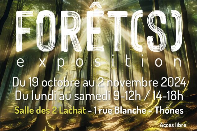 Exposition - Forêts - Thônes - Ecomusée du Bois