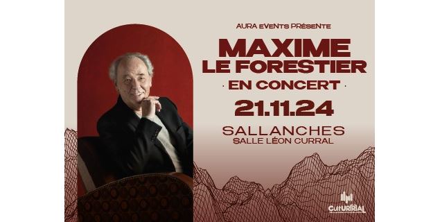 Concert Maxime le Forestier