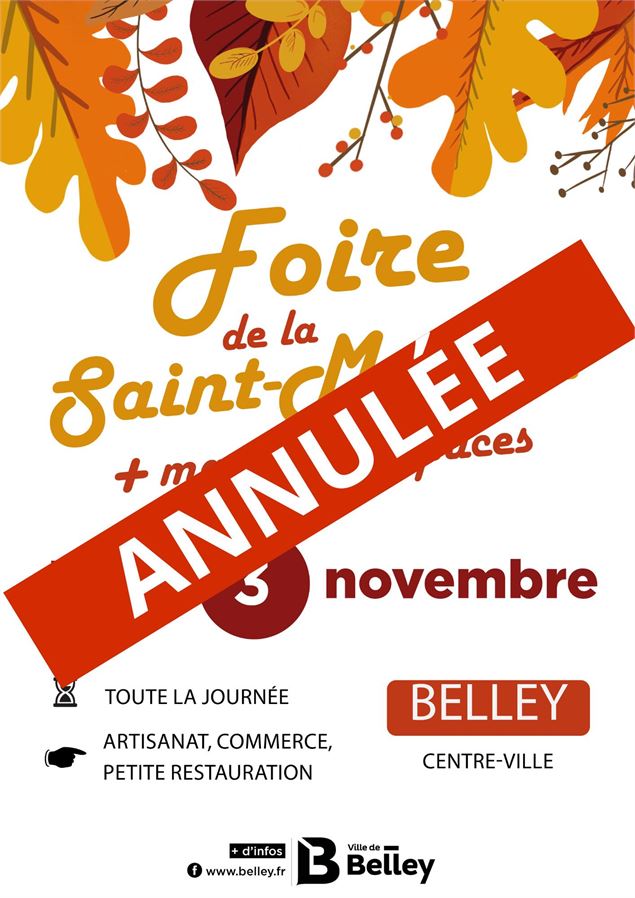 Foire Saint-Martin et Marché au Puces - Ville de Belley