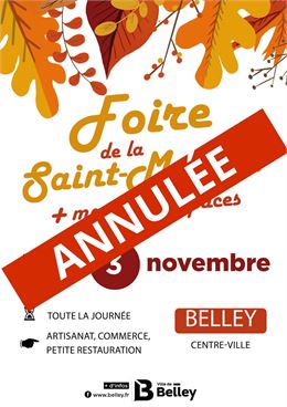 Foire Saint-Martin et Marché au Puces - Ville de Belley