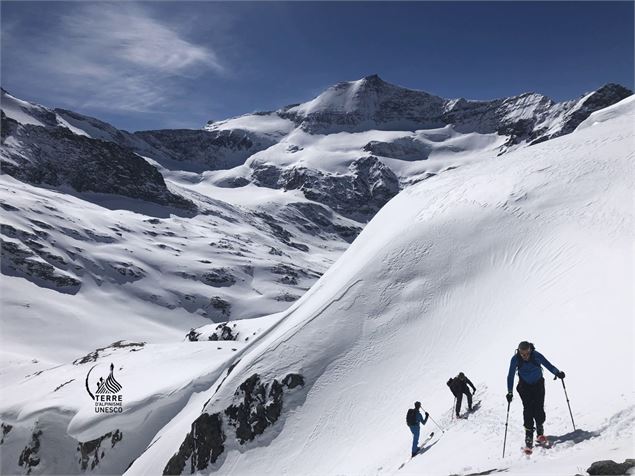 Pratiquants de ski-alpinisme - Terre d'Alpinisme