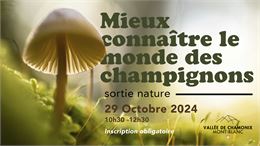 Sortie Nature - Mieux connaître le monde des champignons