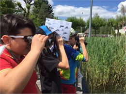 Atelier naturaliste Oiseaux Moulin de Carra - LPO Haute-Savoie