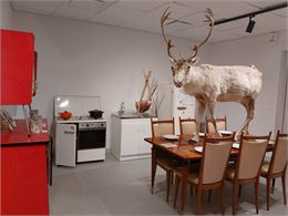 Exposition au Musée de l'ours des cavernes - Stéphanie Vérollet