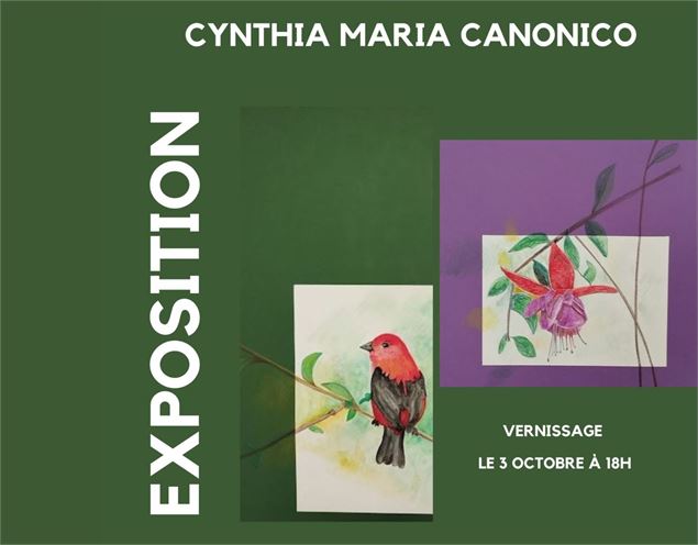 affiche verte dessins d'oiseaux - Cynthia Maria Canonico