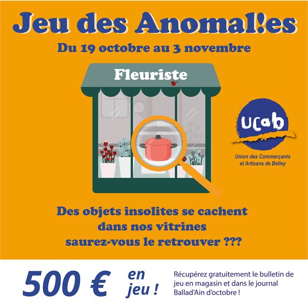 Jeu des anomalies - UCAB