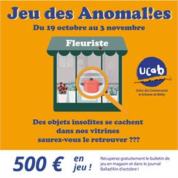 Jeu des anomalies - UCAB