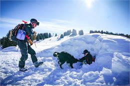 Découverte du secours en montagne avec un chien d'avalanche_Les Saisies