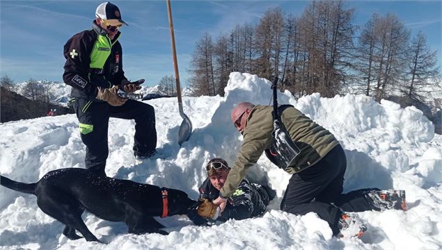 Uno, chien d'avalanche et secouriste - Les Saisies