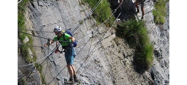 Pont de singe - Vincent Legere