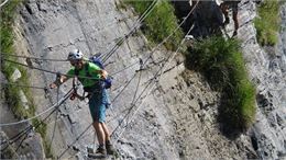 Pont de singe - Vincent Legere