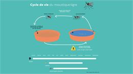 Les moustiques tigres de l’année prochaine sont déjà là, IL FAUT AGIR ! Rendez-vous à une réunion d’