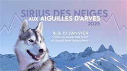 Sirius des Neiges aux Aiguilles d'Arves