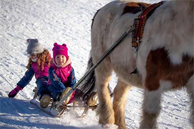 Poney Luge à Notre Dame de Bellecombe - Office de Tourisme du Val d'Arly