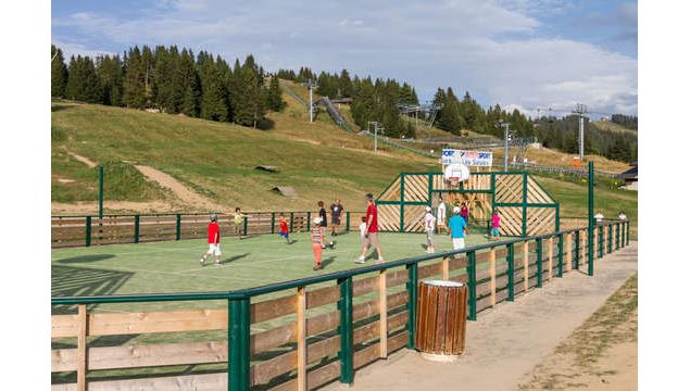 Tournoi sport collectif adulte