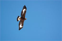 Découverte des oiseaux de la réserve naturelle de Tuéda