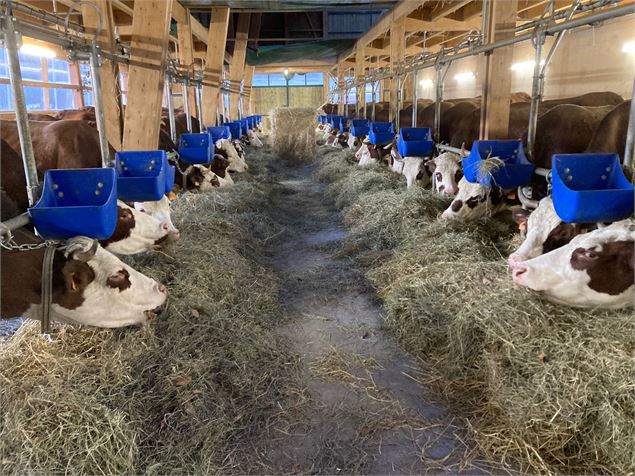 Ferme de l'Auboury - Ferme de l'Auboury