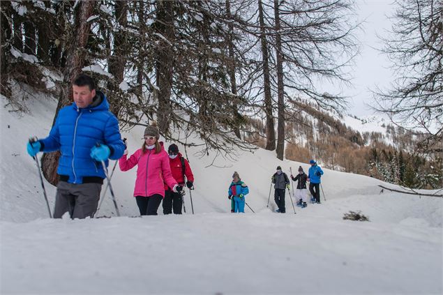 Sur le sentier des alpages enchantés - A.Abondance