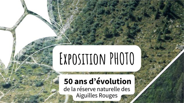 Exposition Photo